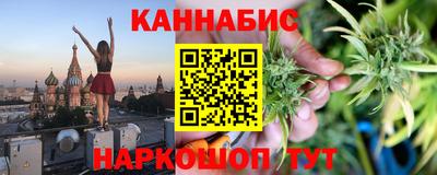 молекула духа Будённовск
