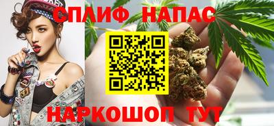 молекула духа Будённовск