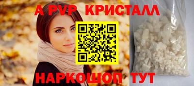 молекула духа Будённовск