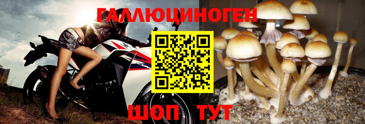 Галлюциногенные грибы GOLDEN TEACHER Мирный