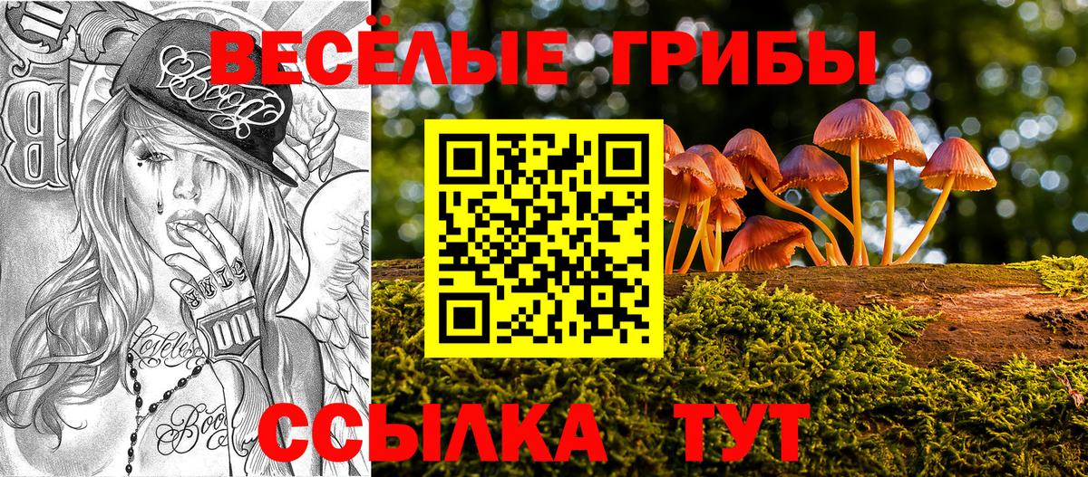 Мирный  Псилоцибиновые грибы Psilocybe  Вход с VPN 