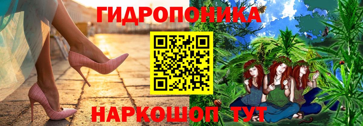Марихуана сатива  Канабис AK-47  Бошки марихуана AK-47  Вход с VPN  Мирный  МАРИХУАНА семена 
